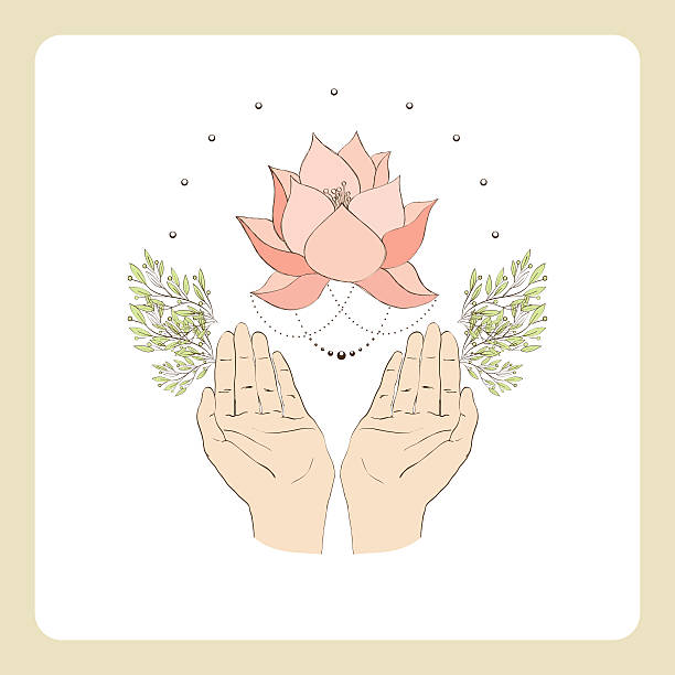 illustrazioni stock, clip art, cartoni animati e icone di tendenza di due mani e lotos2 - herbal medicine recovery herb human hand