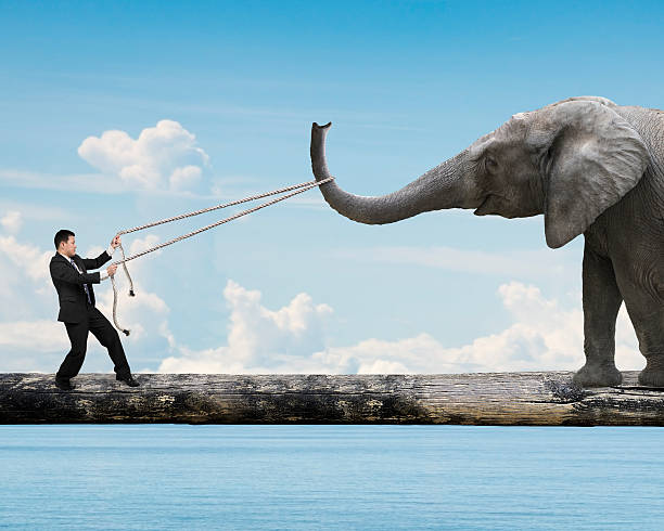 istock Businessman pulling rope against elephant balancing on tree trun 510476672