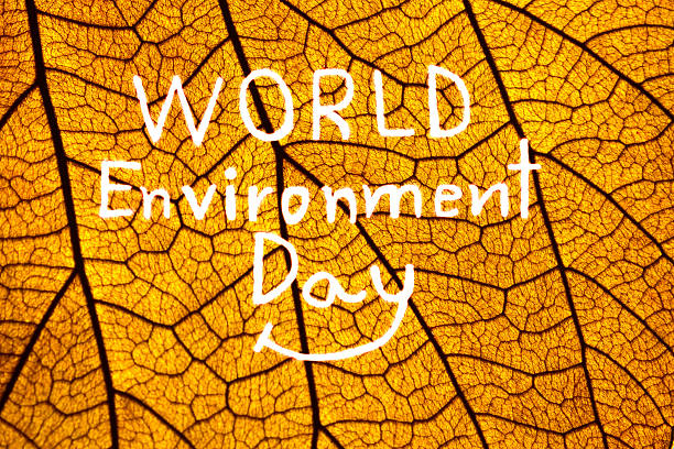 Textura de folha laranja, escreva Dia Internacional do Meio Ambiente - fotografia de stock