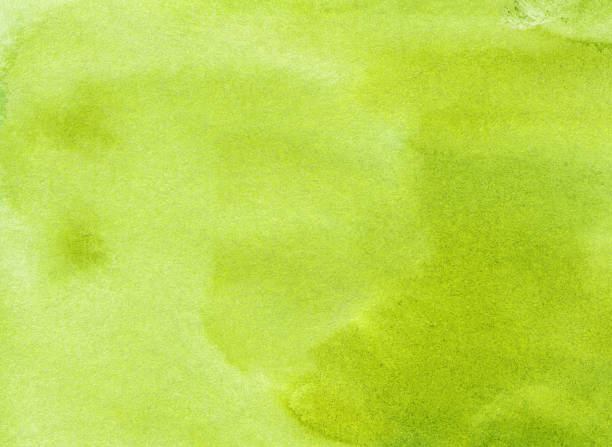 istock Hand painted background with chartreuse green and texture 510477346