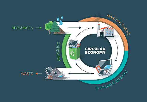 illustrazioni stock, clip art, cartoni animati e icone di tendenza di circolare economia - green tree monitor