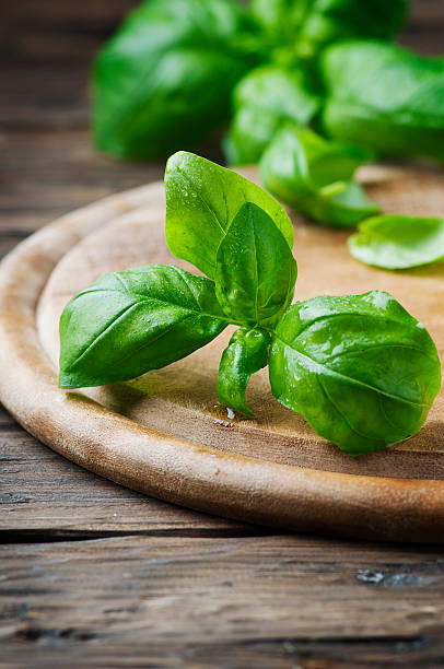 istock Fresh green basil on the wooden table 510479294