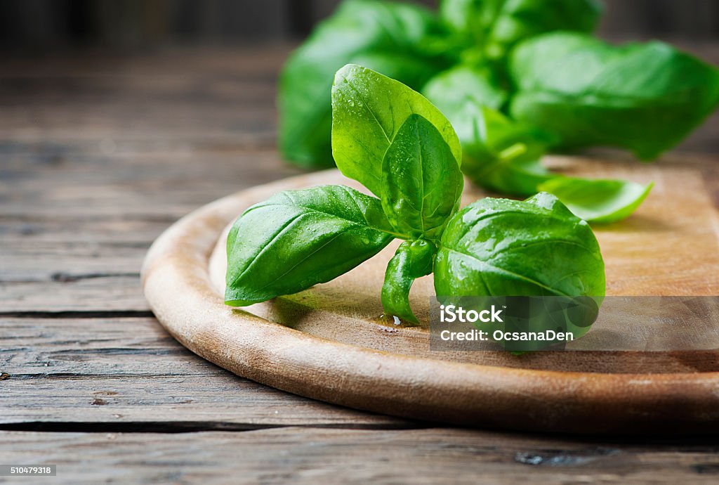 Fresh green basil on the wooden table Fresh green basil on the wooden table, selective focus Basil Stock Photo