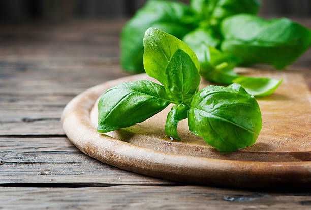 Fresh green basil on the wooden table Fresh green basil on the wooden table, selective focus basil photos stock pictures, royalty-free photos & images