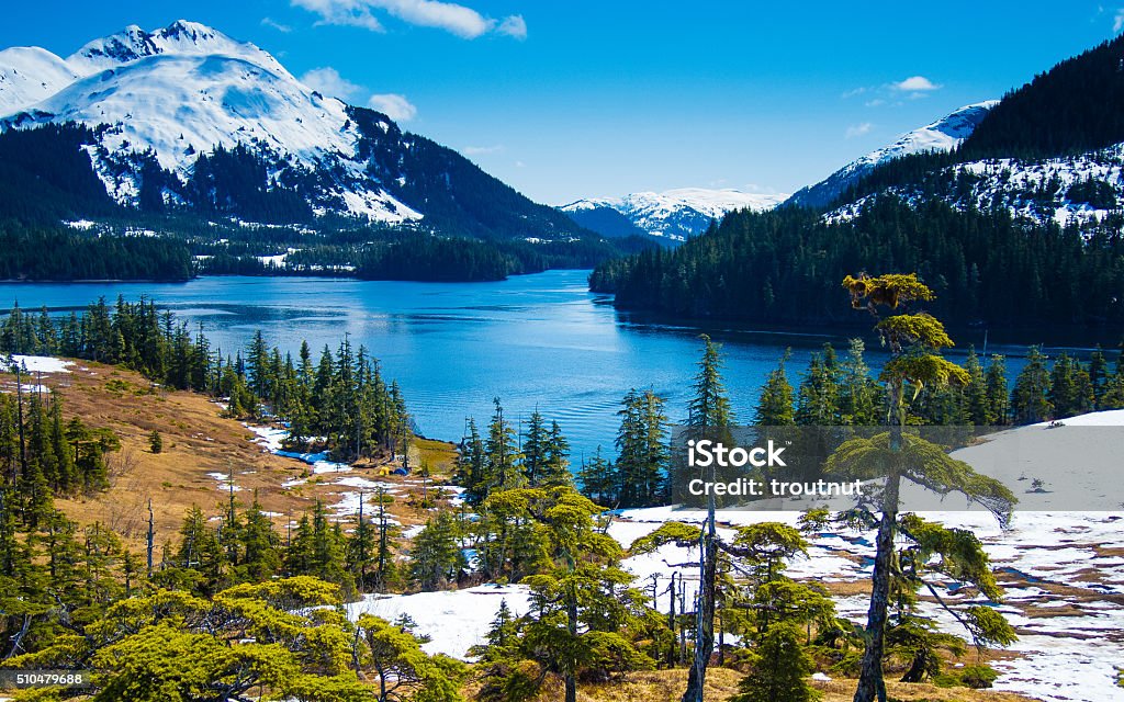 Overlooking Prince William Sound Snow melts slowly from the mountains as spring approaches at the end of May in south-central Alaska Alaska - US State Stock Photo