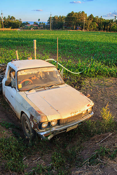 istock Old Rusty car in agriculture field 510482458