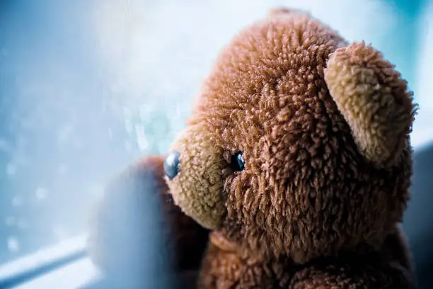 Photo of Vintage teddy bear looking through  wet window