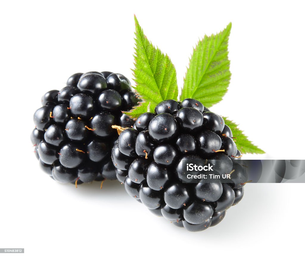 Blackberry with leaf isolated on white. Blackberry - Fruit Stock Photo