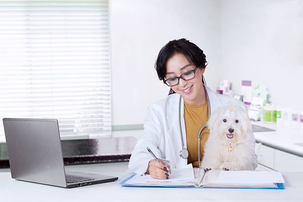 veterinário médico com um cão - japanese ethnicity women asian and indian ethnicities smiling - fotografias e filmes do acervo