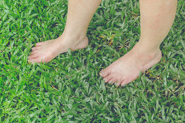istock Female feet on green grass 510487692