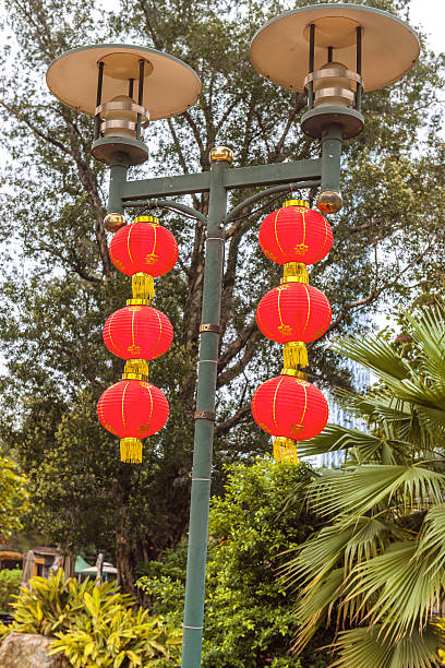 tradizionale rosso cinese, lanterna, parco, guangzhou, cina - chinese lantern chinese new year paper lantern chinese national day foto e immagini stock