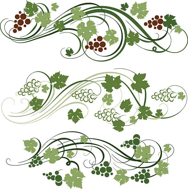 Vector illustration of grape ornament