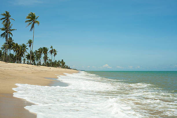 istock Wave on the sand and blue sea 510488775