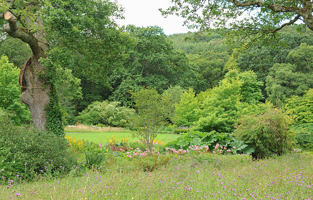 istock Gardens at Rosemore, Torrington, in Devon, England, UK 510489925