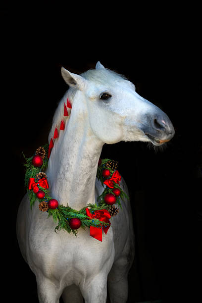 istock White horse in chistmass 510490204