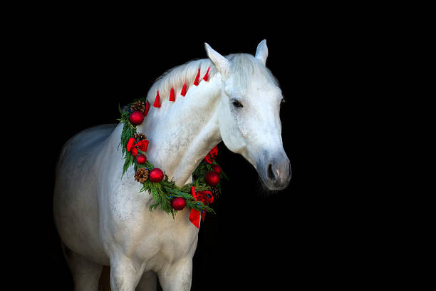 istock White horse in chistmass 510490306