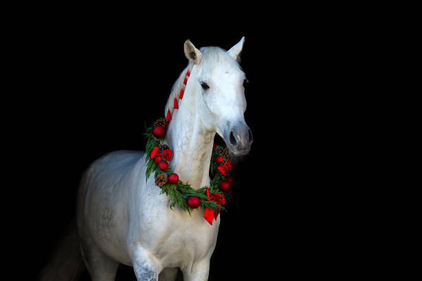 istock White horse in chistmass 510490338