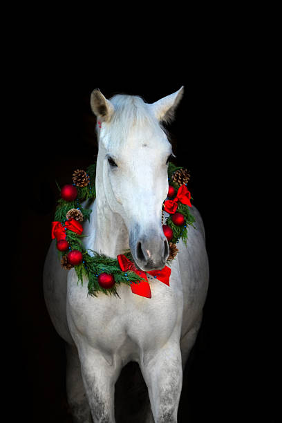 istock White horse in chistmass 510490350