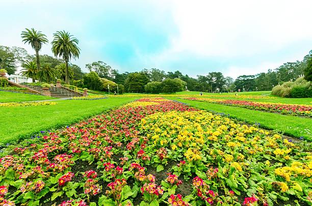 istock Conservatory of flowers, San Francisco 510490364