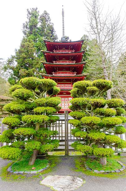 istock Japanese Tea Garden, San Francisco 510491214