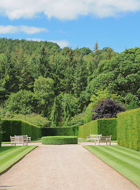 istock Gardens at Rosemore, Torrington, in Devon, England, UK 510491983
