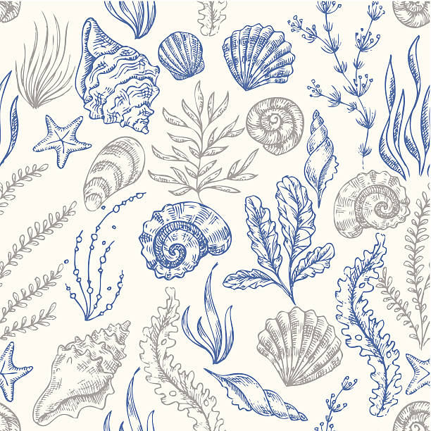 sea elements pattern - seashell illüstrasyonlar stock illustrations