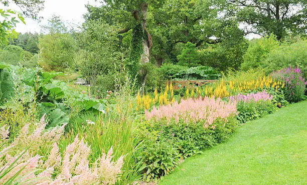 Flower border in the garden at Rosemoor, Torrington, Devon, England, UK
