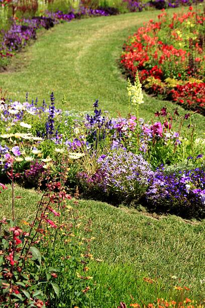 istock Summer flower garden 510495735