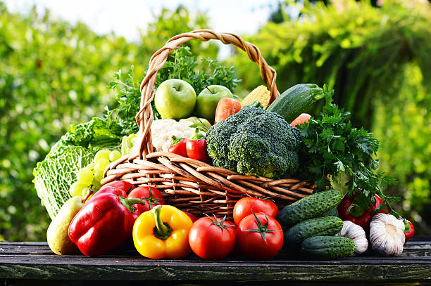 istock Wicker basket with assorted raw organic vegetables in the garden 510512085