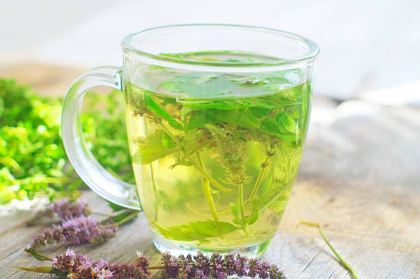 istock cups of tea with mint on wooden table 510513141