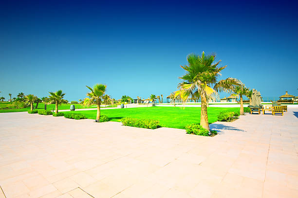 istock Tranquil resort in the tropics 510514963