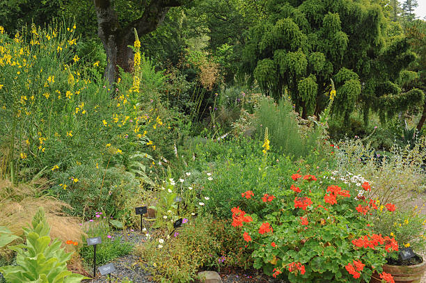 istock Gardens at Rosemore, Torrington, in Devon, England, UK 510514981