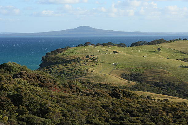 istock New Zealand coastline 510515403