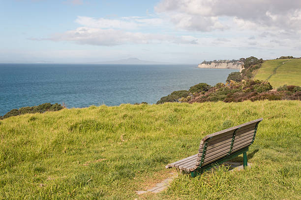 istock empty bench on green meadow above Long Bay 510517225