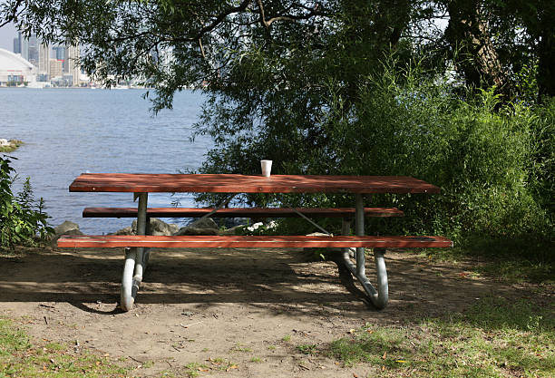 istock Discarded Cup on a Picnic Table in Toronto, Ontario, Canada 510517331