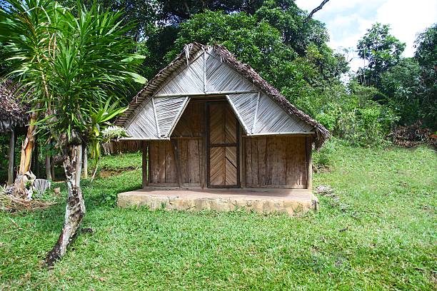 istock House from a small village in Madagascar 510517897