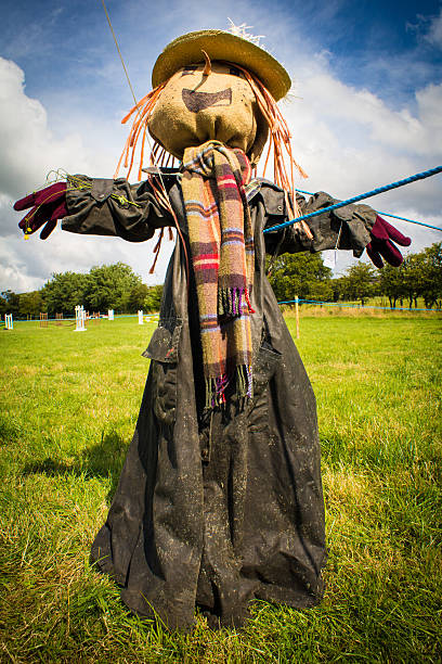 istock Scarecrow in a field 510532965