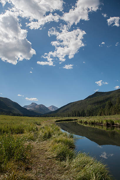 Christmas Meadows, Uinta Mountains of Utah. Ostler Peak.