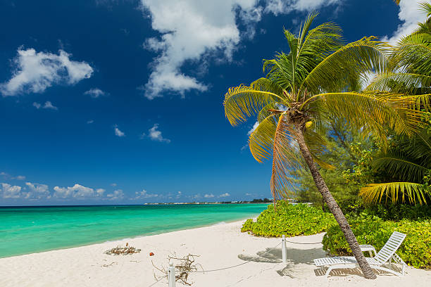 islas caimán - cayman islands fotografías e imágenes de stock