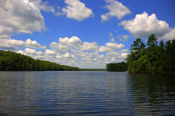 istock Lake with beautiful skies 510536057