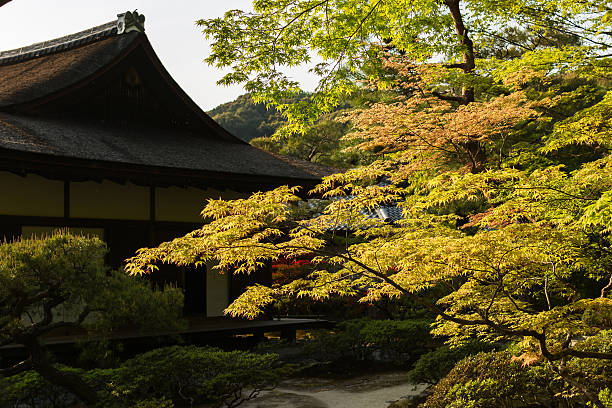 Green maple trees and Japanese-style house in the Japanese garden  of Ginkakuji Temple.