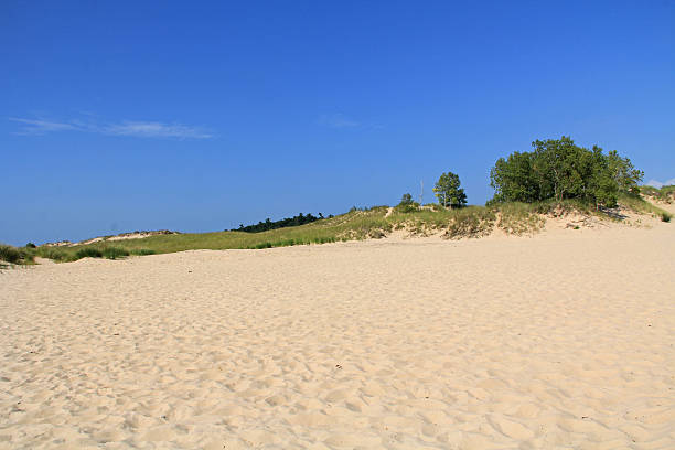 istock Dunes in Ludington State Park in Michigan 510537995