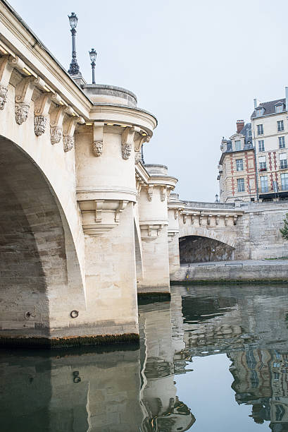 istock Pont Neuf, River Seine, Paris 510563262