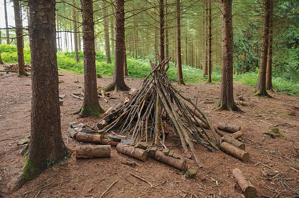 istock Woodland walk at Rosemoor Gardens, Devon, England, UK 510564427