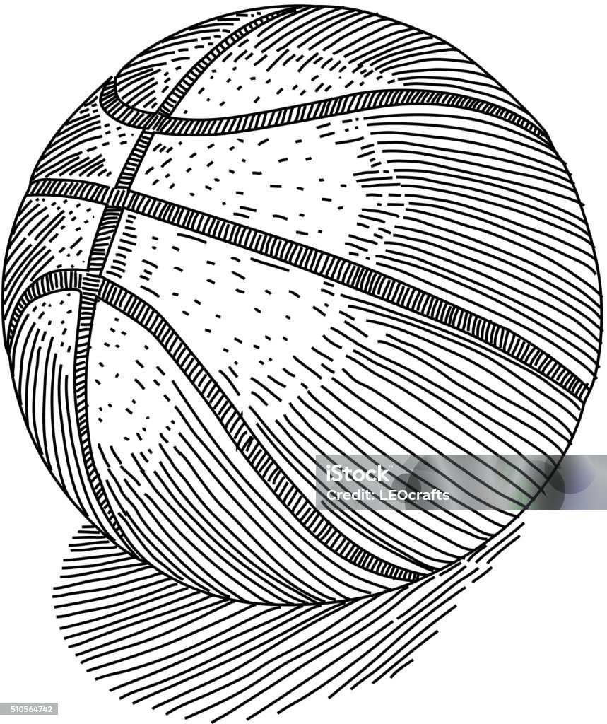 Basketball Drawing Line drawing of Basketball. Elements are grouped.contains eps10 and high resolution jpeg. Basketball - Ball stock vector