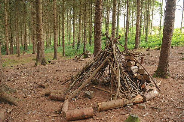 istock Woodland walk at Rosemoor Gardens, Devon, England, UK 510566101
