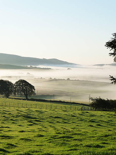 dawn mist in scotland, dumfriesshire - dumfries stok fotoğraflar ve resimler