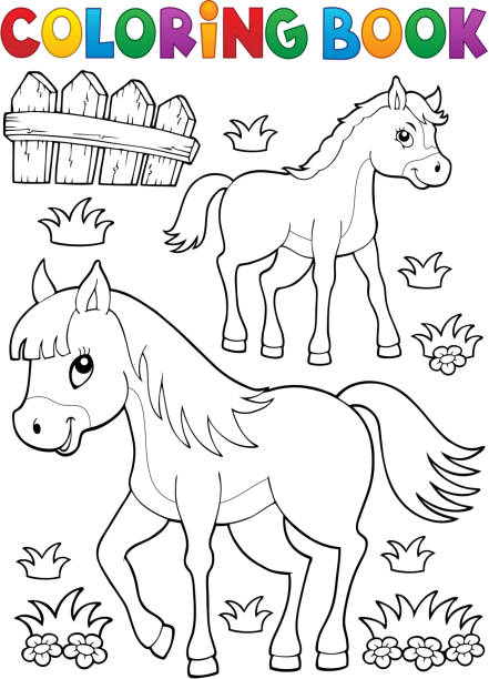 illustrations, cliparts, dessins animés et icônes de livre de coloriage avec le thème poulain d'un cheval - tame