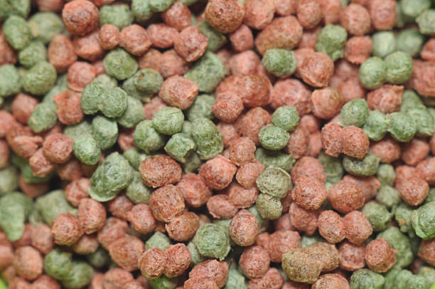 istock colorful pet food 510569067