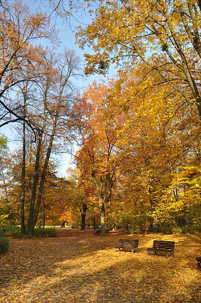 istock Autumn in Wroclaw 510572722